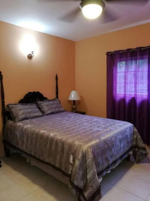 A Lovely Jamaican Get-Away Kingston Exteriör bild